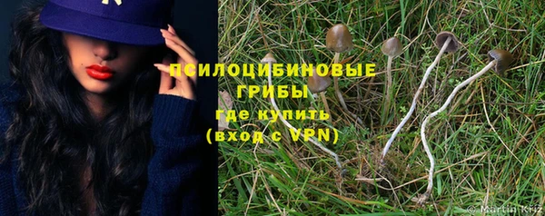 молекула духа Киреевск