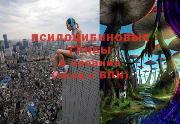 молекула духа Киреевск