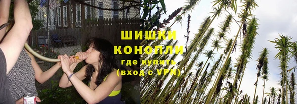молекула духа Киреевск