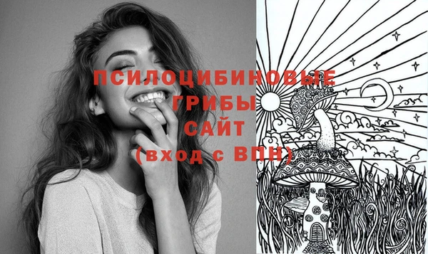 молекула духа Киреевск