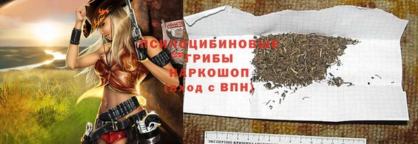 молекула духа Киреевск